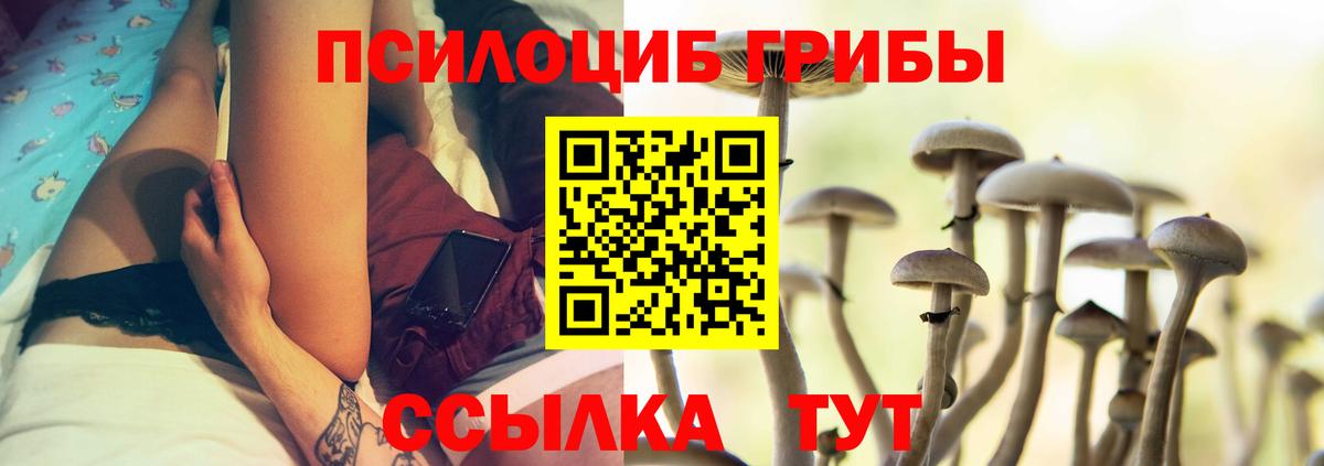 Псилоцибиновые грибы Psilocybe Рубцовск